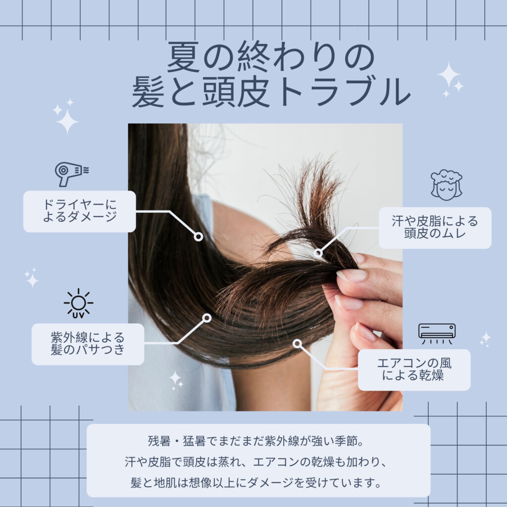 髪と頭皮のトラブル,ドライヤーによるダメージ,頭皮のムレ,紫外線,